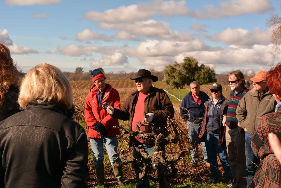 pruning-clinic